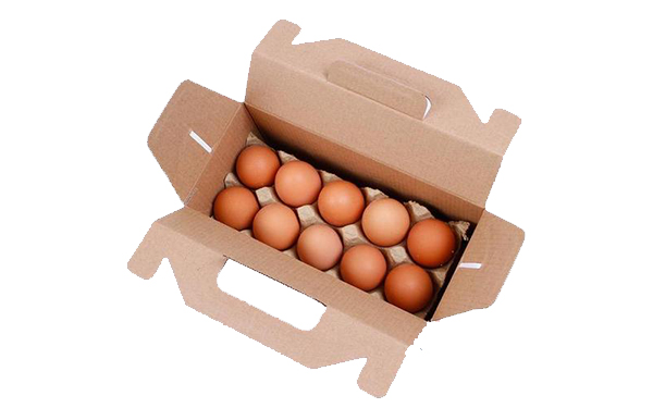 遵义鸡蛋包装箱